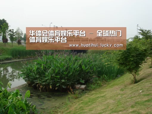 案例展示四(图1)