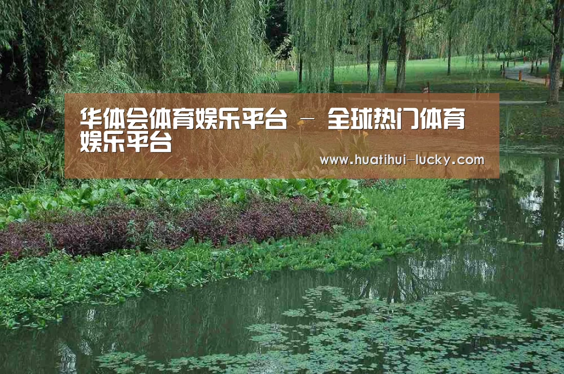 案例展示一(图1)
