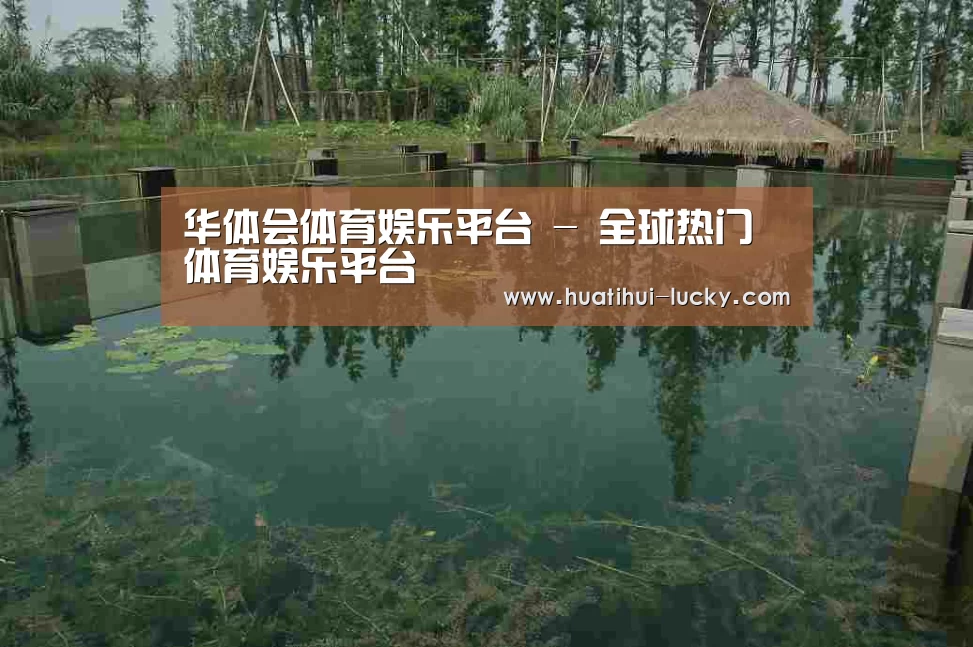 案例展示二(图1)