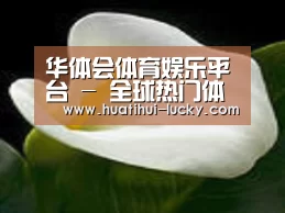 产品名称七