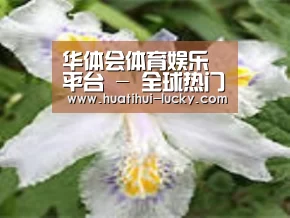 产品名称二