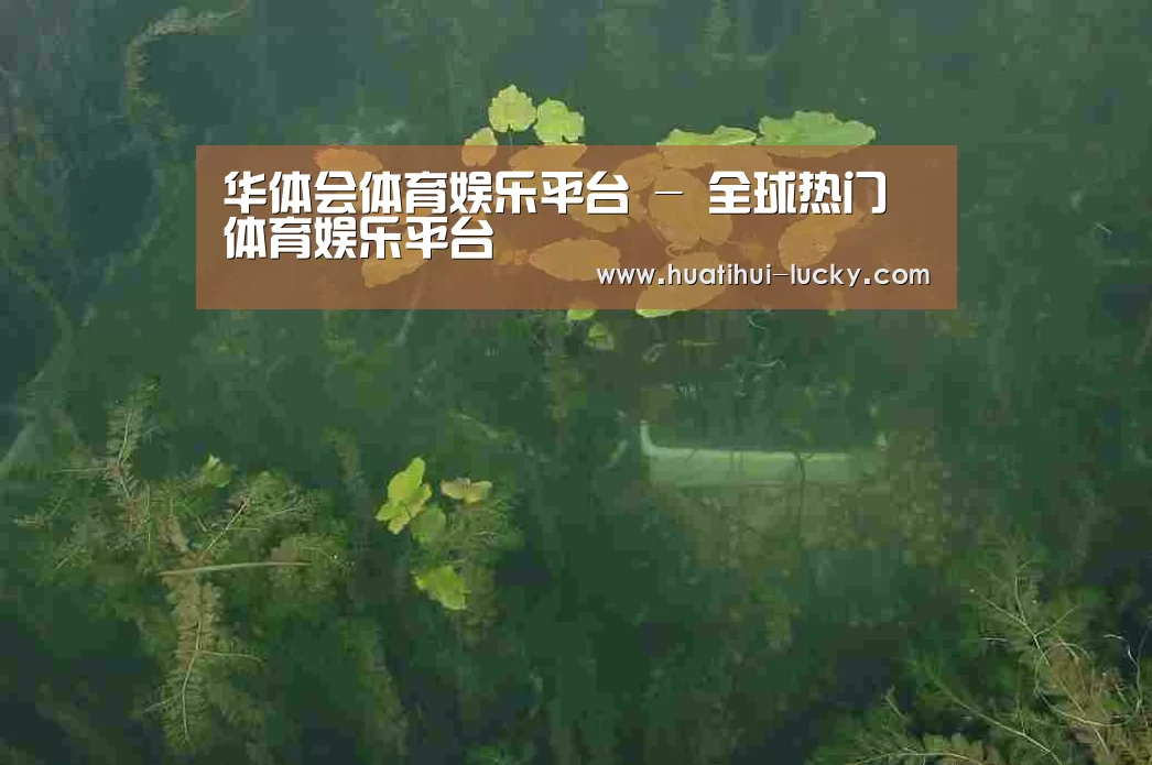 案例展示三