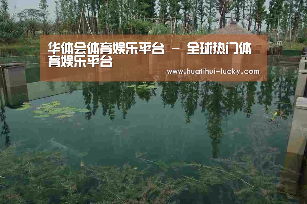 案例展示二