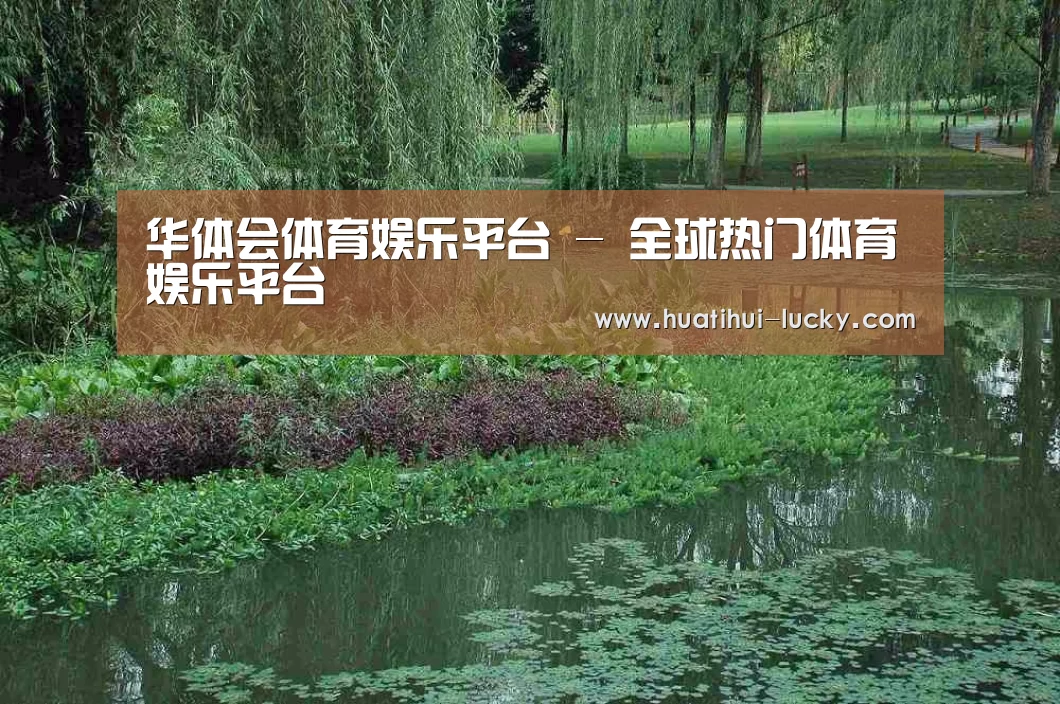 案例展示一