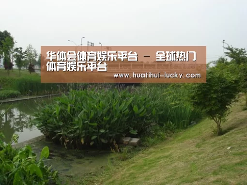 案例展示四
