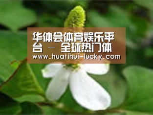 产品名称三