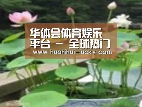 产品名称一