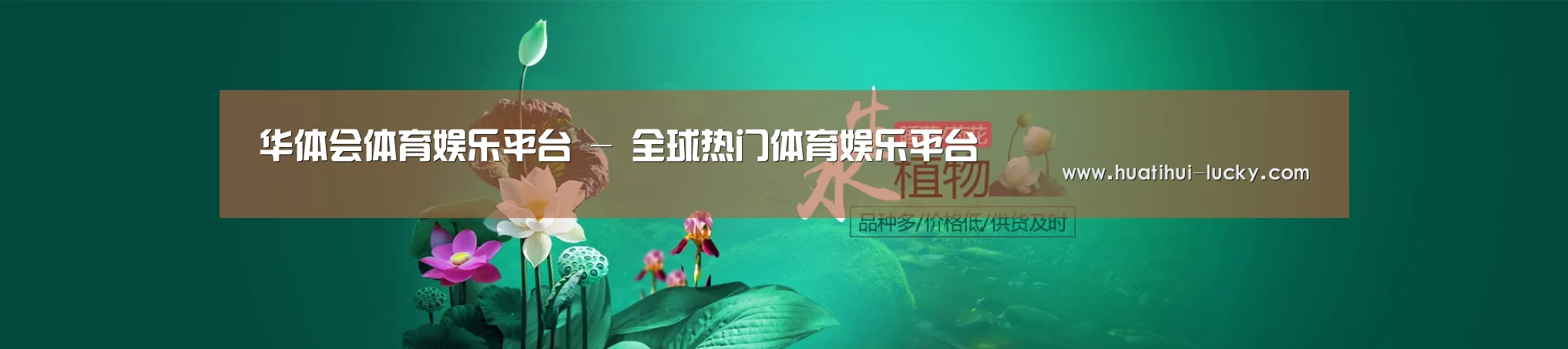 鲜花水草花卉网站模板