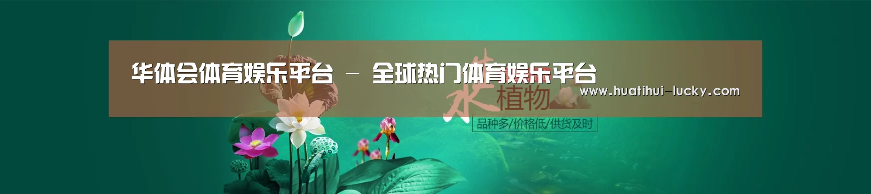 鲜花水草花卉网站模板