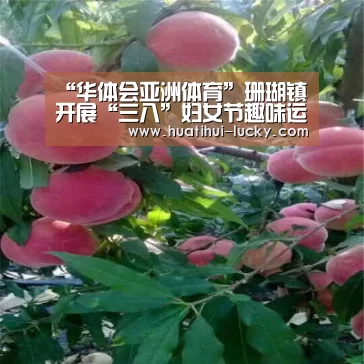 华体会电竞