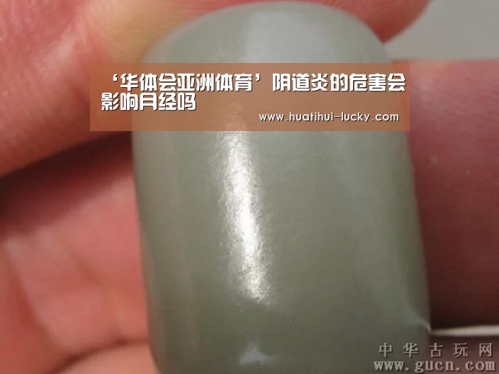 华体会电竞