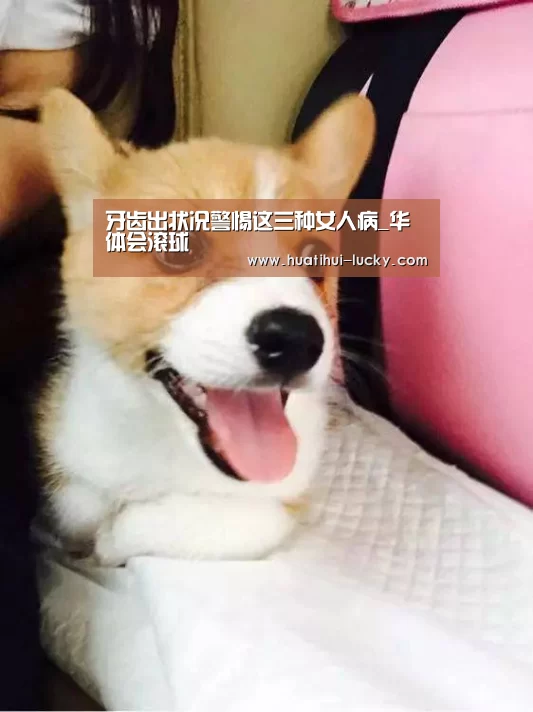牙齿出状况警惕这三种女人病_华体会滚球(图3) 华体会亚洲体育