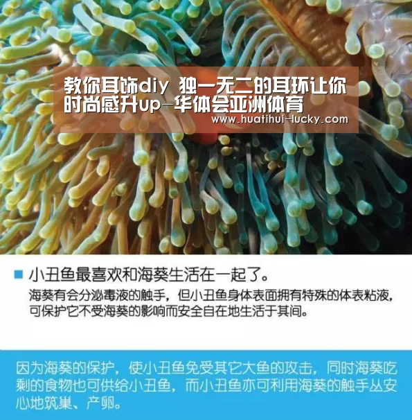 教你耳饰diy 独一无二的耳环让你时尚感升up-华体会亚洲体育(图3) 华体会体育娱乐平台
